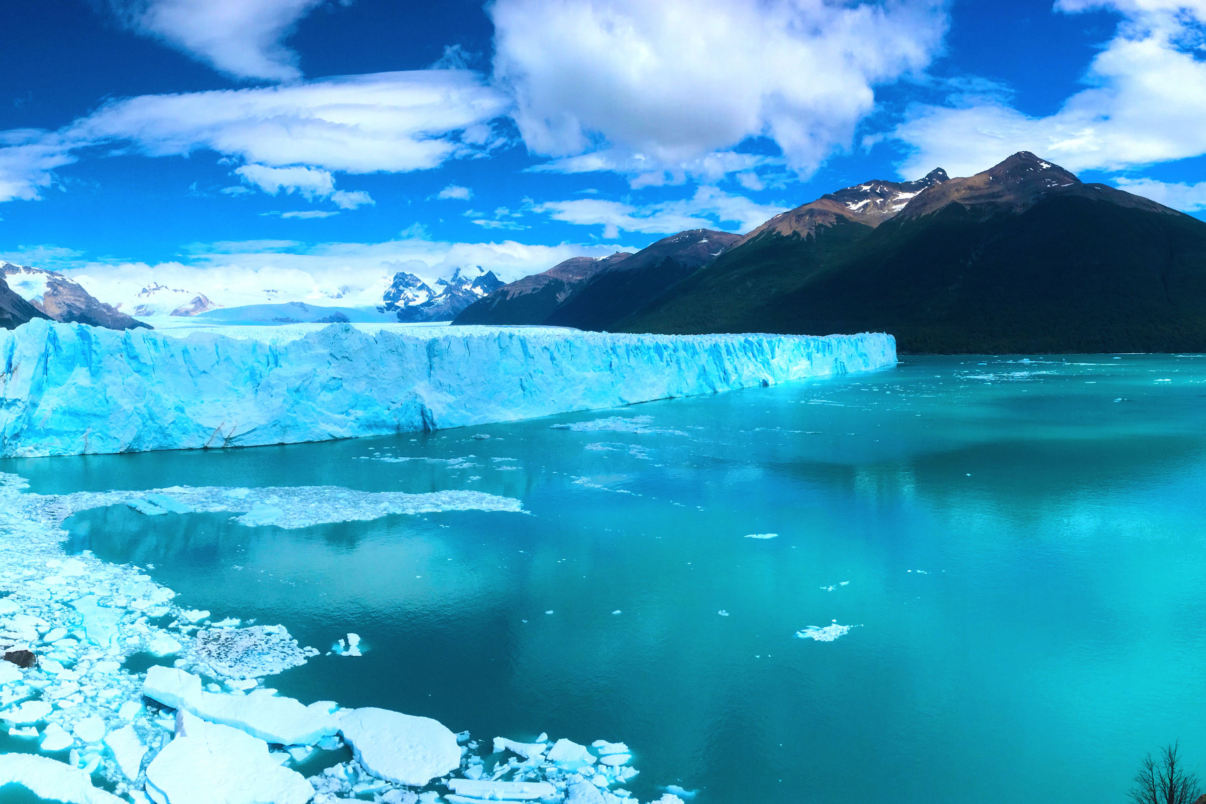 el calafate (2).webp